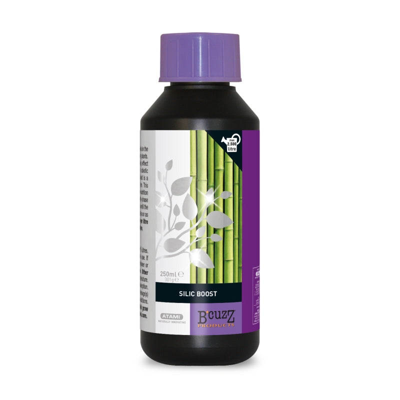 Atami B'cuzz Silic Boost 250ml