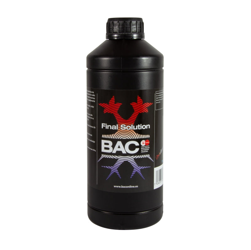 BAC Final Solution 1L