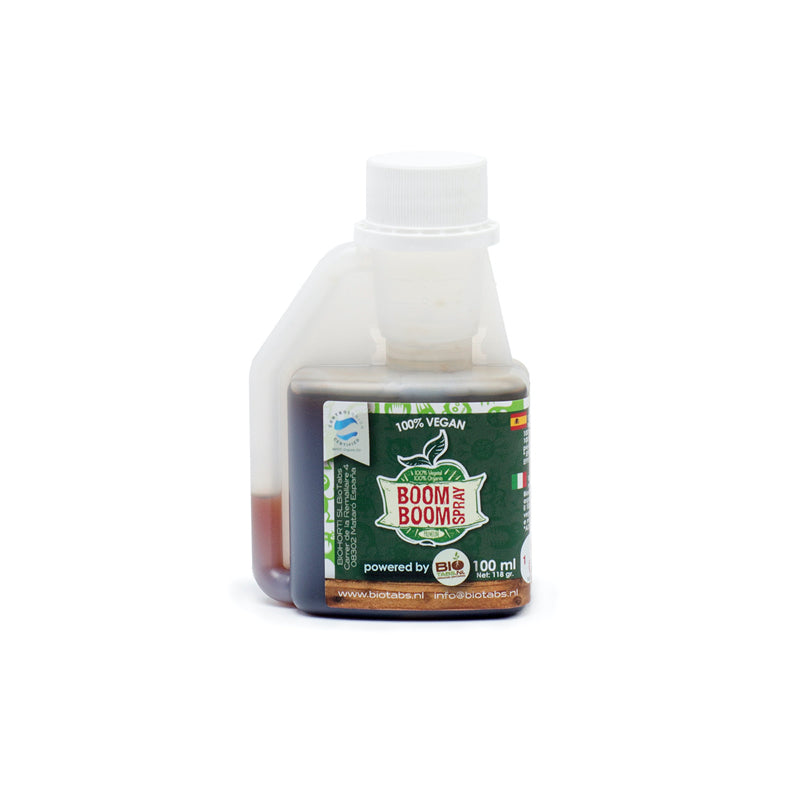 Boom Boom Spray 100 ml