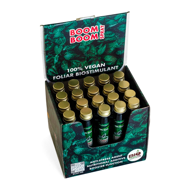 Boom Boom Spray display 20 ml x 20