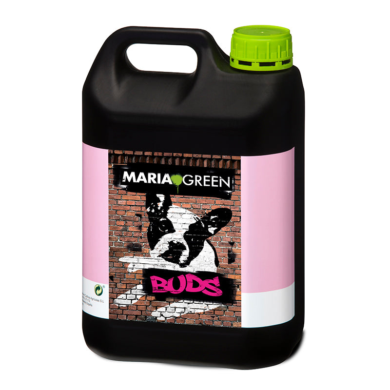 Maria Green Buds 5L
