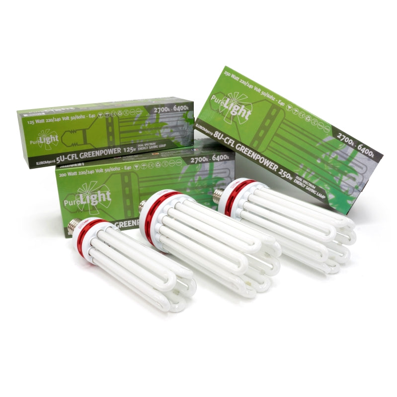Pure Light CFL E40 Bulb – Low Consumption from 125W to 250W in Bloom and Mixed GreenPower 