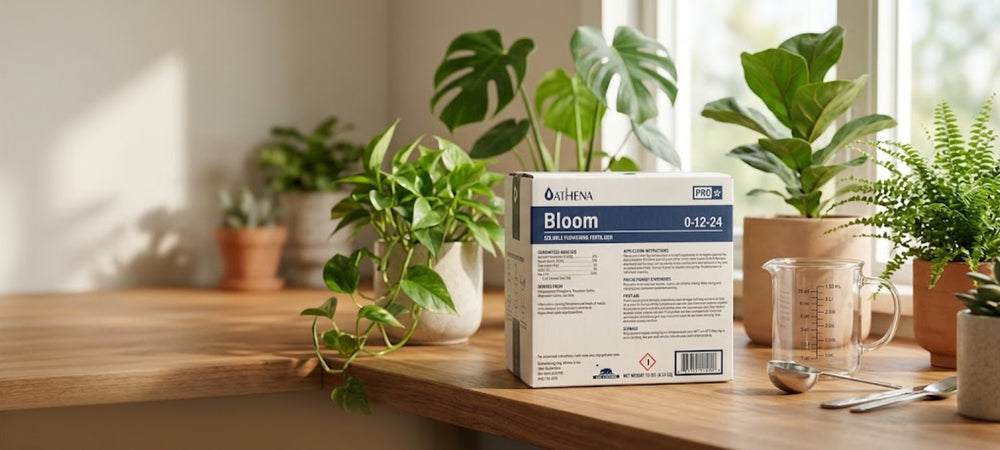 Athena Pro Bloom - imagen landscape