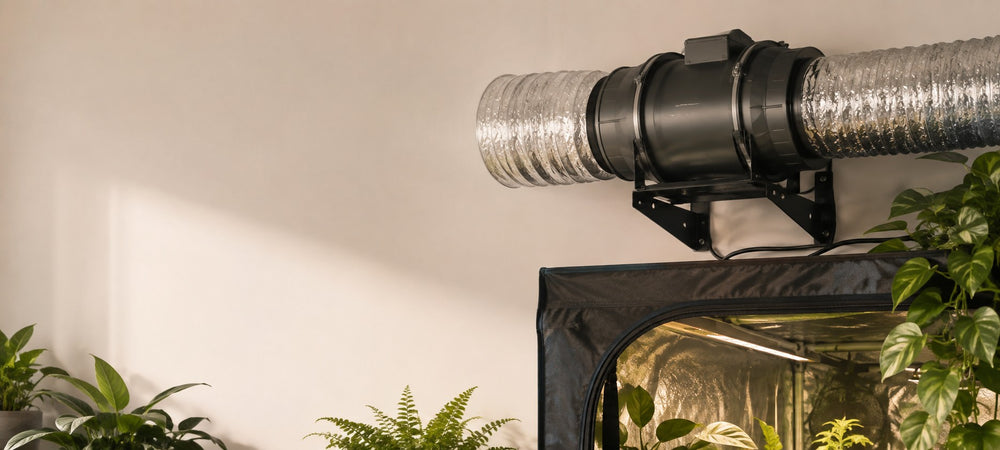 Pure Factory Extractor Pure Fan TT 2 Velocidades - imagen landscape