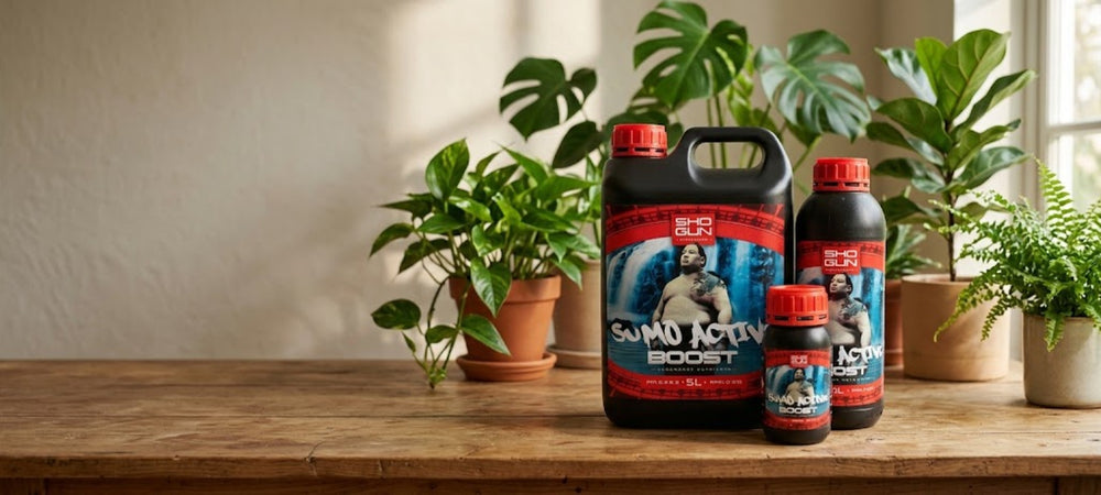 Shogun Sumo Active Boost - imagen landscape