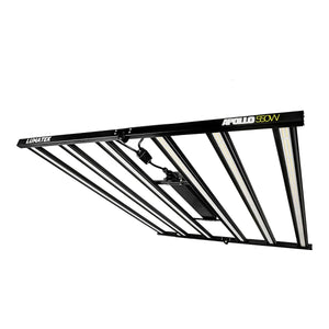Apollo LED-Leuchte 550W Lumatek - LED-Leuchten | Wachsen Sie die Branche