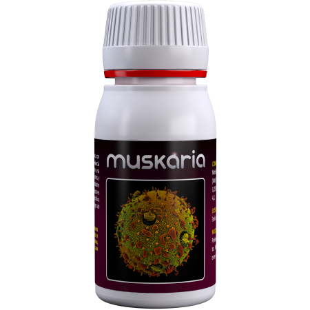 Muskaria 60ml Agrobacteria