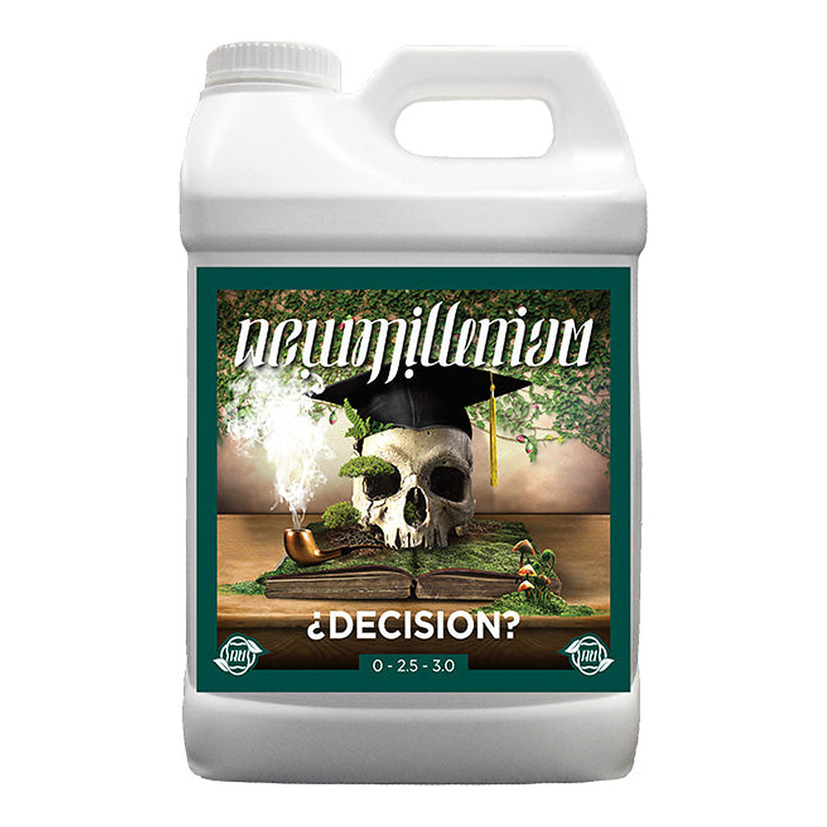 New Millenium Decision, vista 2