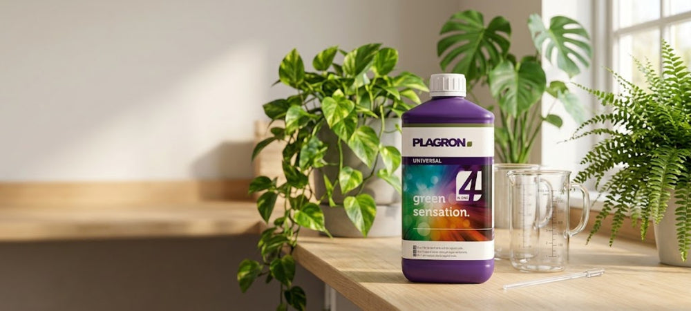 Plagron Green Sensation