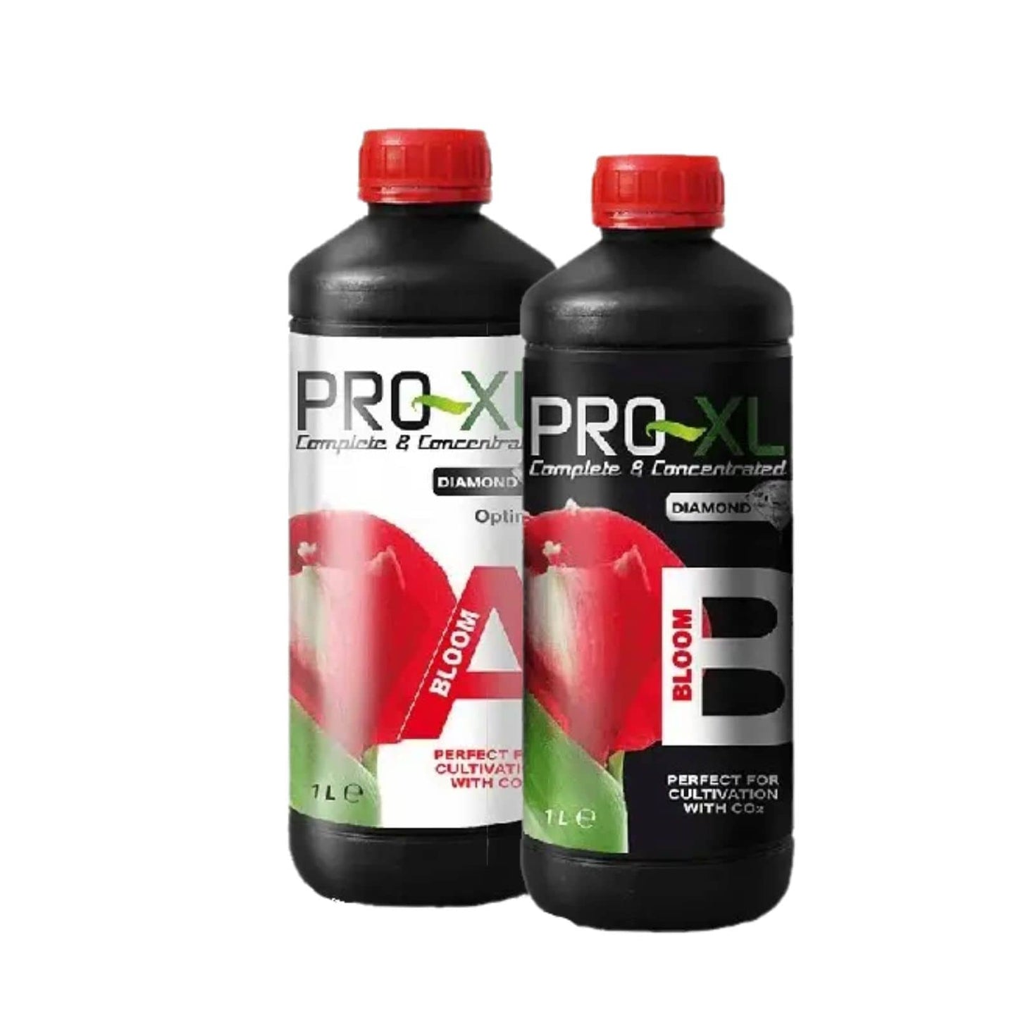 Bloom A&B Pro-XL - Vue 2 | Développer l’industrie