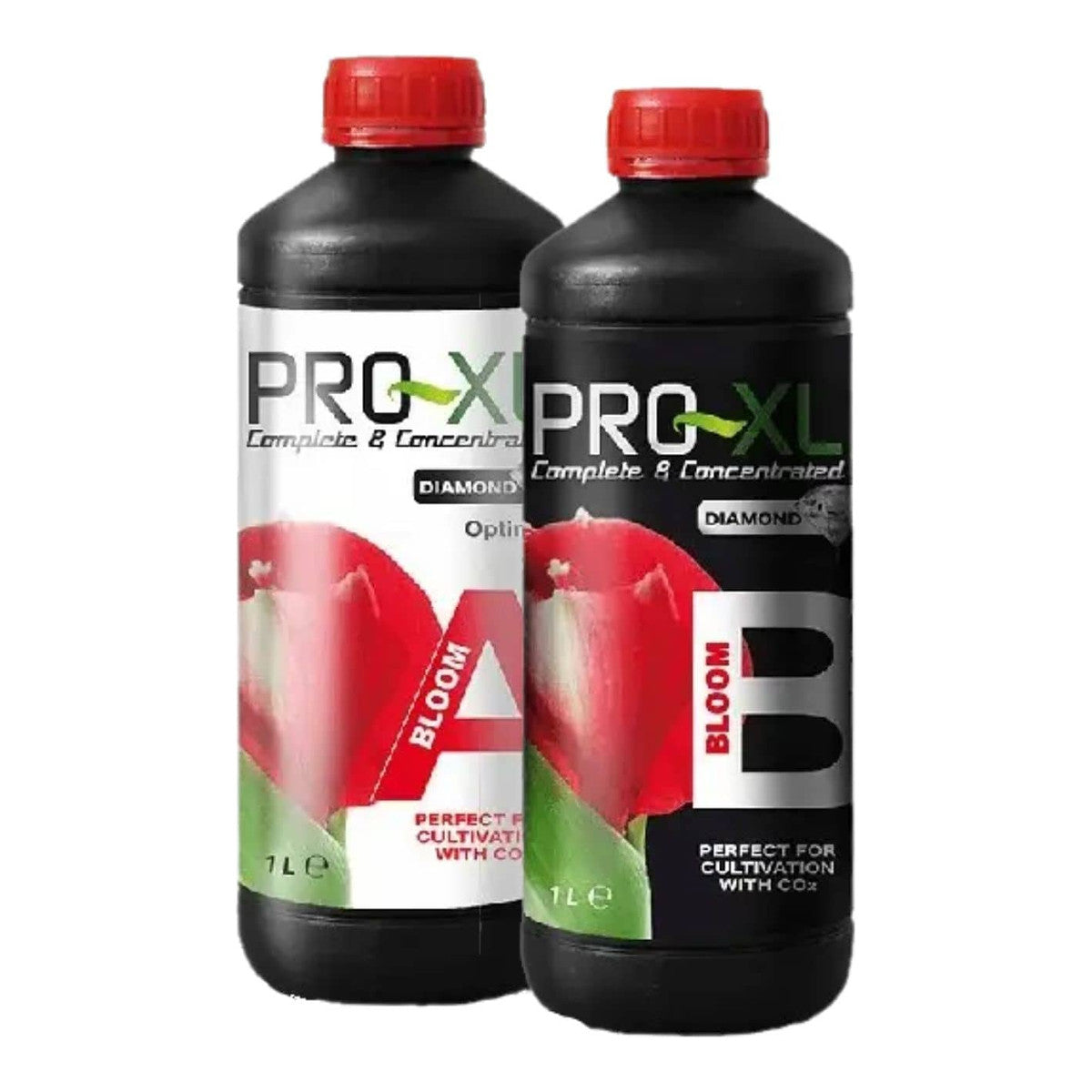 Bloom A&B Pro-XL - Vue 2 | Développer l’industrie