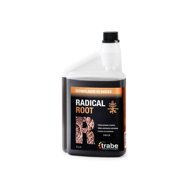 Trabe Radical Root