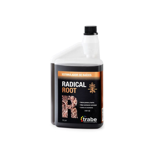 Trabe Radical Root