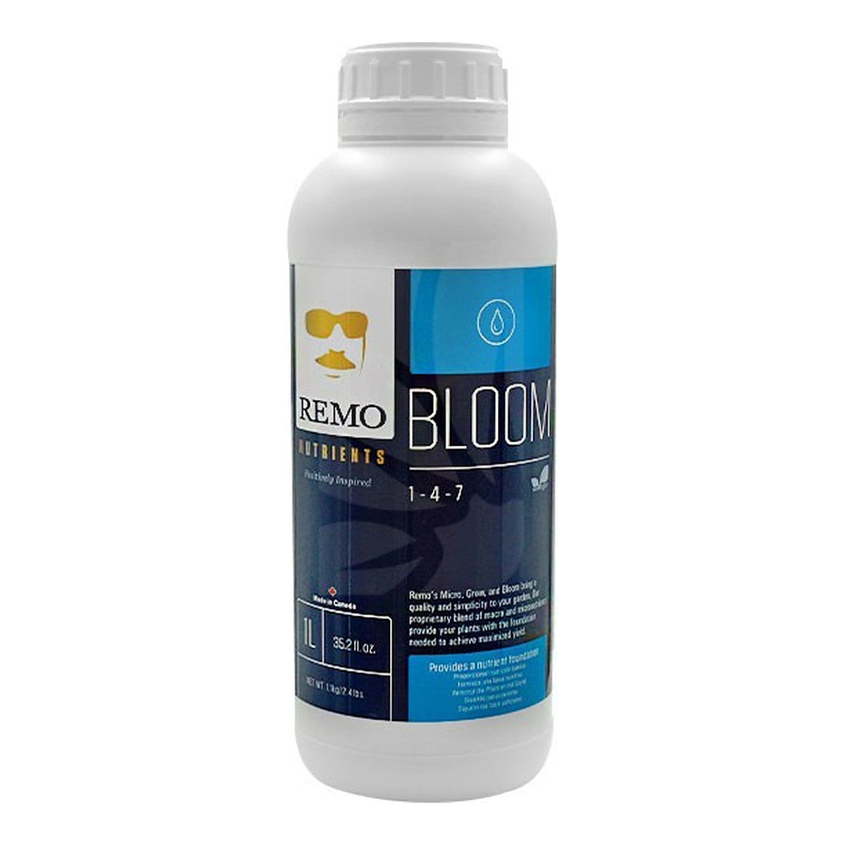 Bloom REMO - Vue 2 | Développer l’industrie
