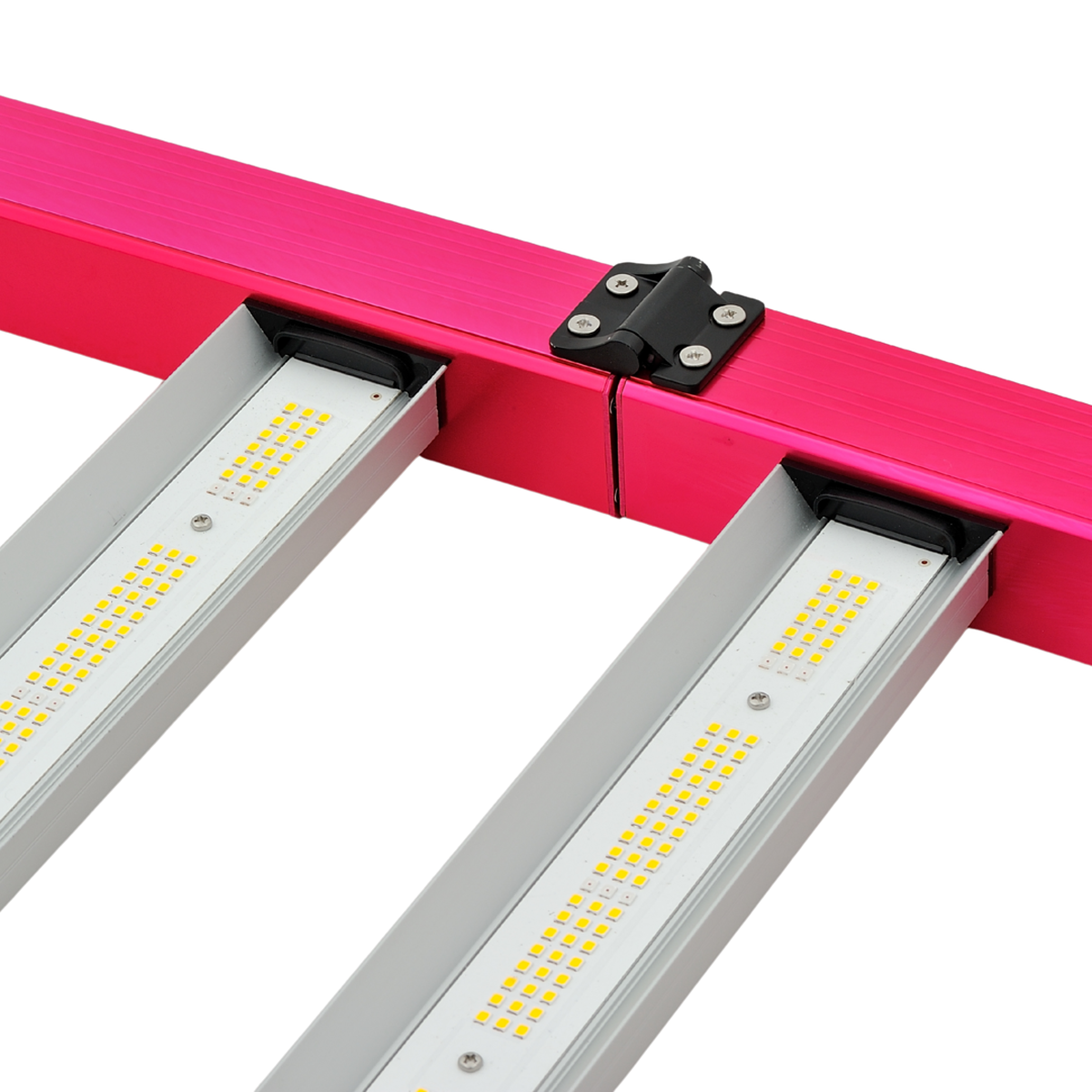 SOLUX Aura Pro 720W LED-Leuchte – Vista 2 | Wachsen Sie die Branche
