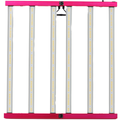 SOLUX Aura Pro 720W LED-Leuchte - LED-Leuchten | Wachsen Sie die Branche