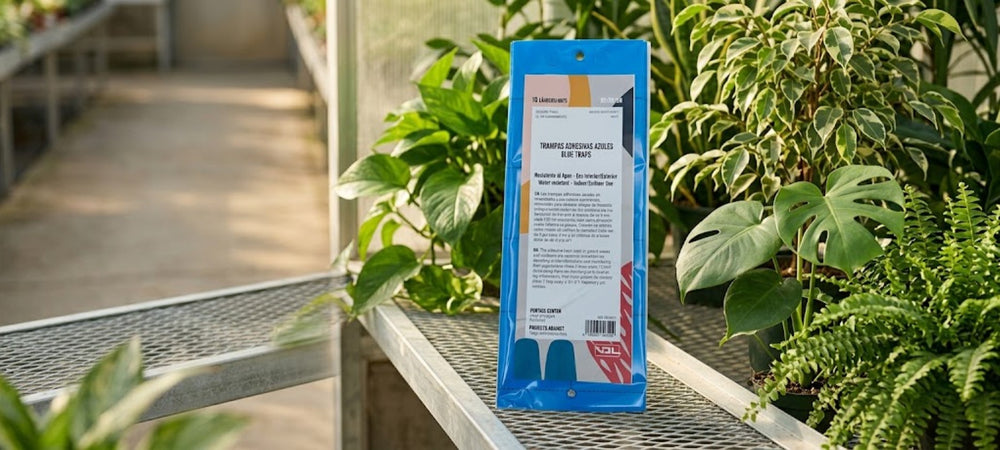 Trampas Azules para Trips 10 Uds