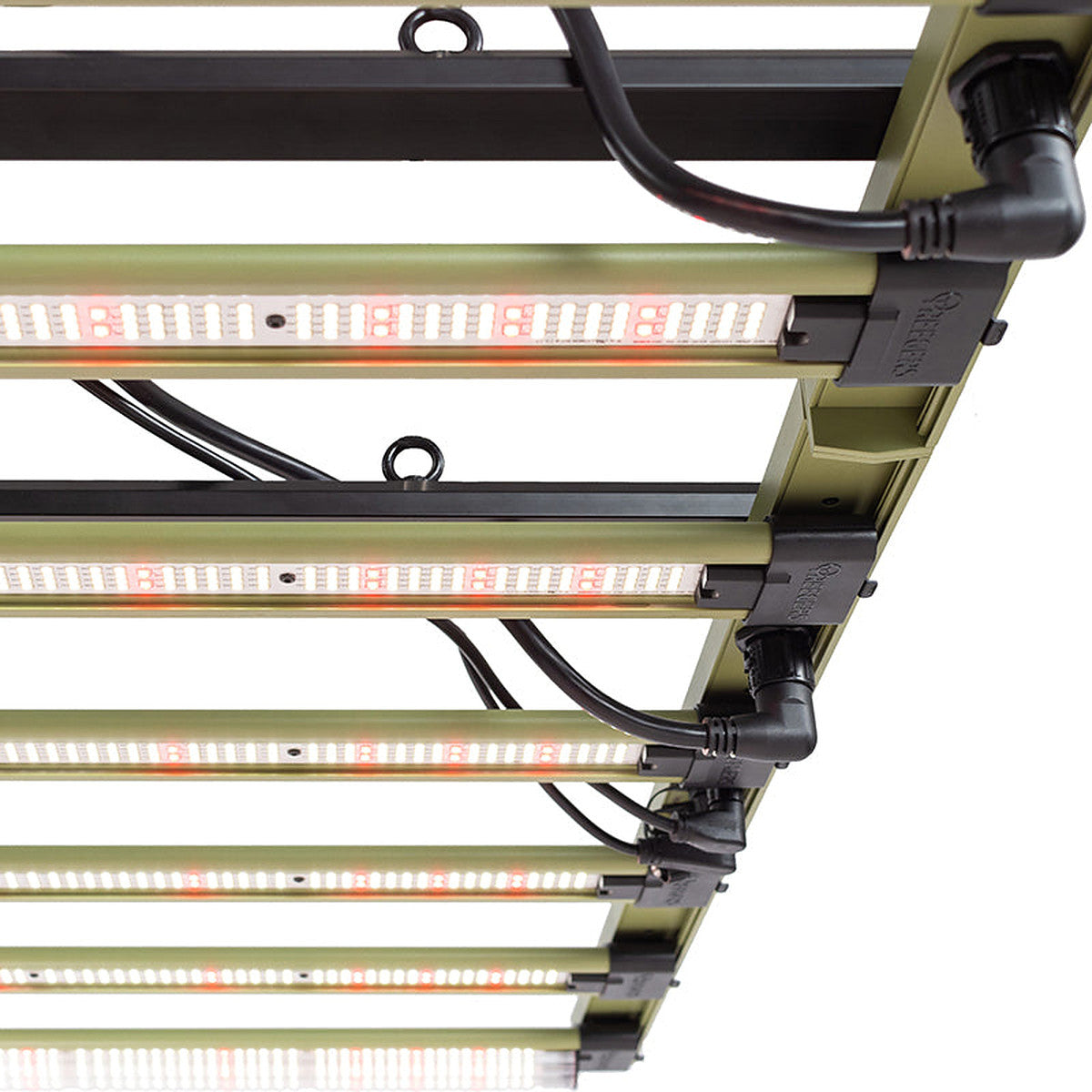 TREEGERS GL 1000W+ LED-Leuchte - Vista 5 | Wachsen Sie die Branche
