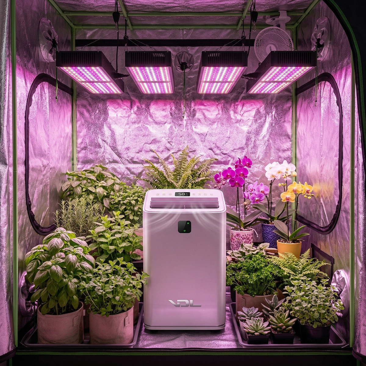 Halbindustrieller Luftentfeuchter 50 l/Tag VDL – Vista 5 | Wachsen Sie die Branche