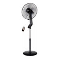 Ventilador de Pie BASTILIPO Coín Black Negro 50W
