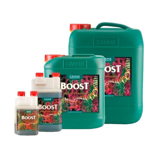 Boost Accelerator von Canna - GrowTarraco Distribuciones SLU