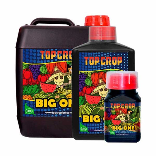 Big One von Top Crop - GrowTarraco Distribuciones SLU