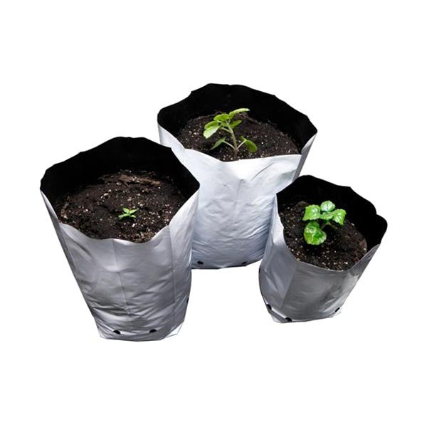 Weiße Anzuchtbeutel - GrowTarraco Distribuciones SLU