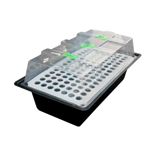 Propagateur X-Stream - Propagateur | Développer l’industrie