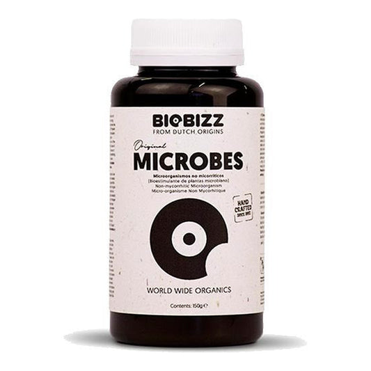 Biobizz Mikroben – Bakterien | Wachsen Sie die Branche