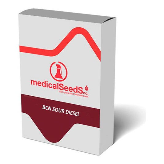 BCN Sour Diesel von Medical Seeds | Wachsen Sie die Branche