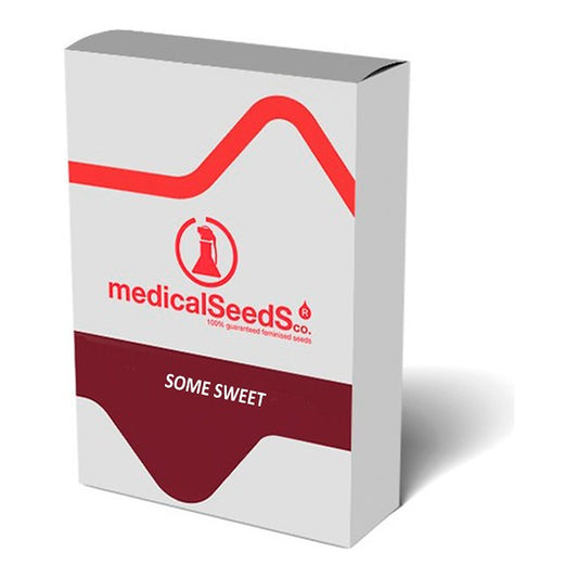 Some Sweet von Medical Seeds | Wachsen Sie die Branche