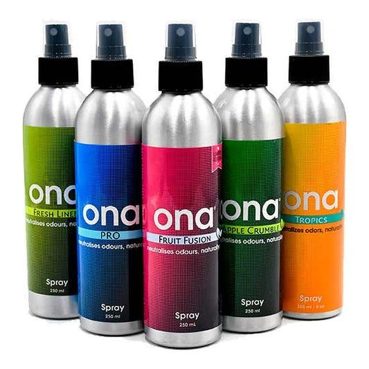 ONA Désodorisant Spray 250 ml - Spray Désodorisant | Développer l’industrie