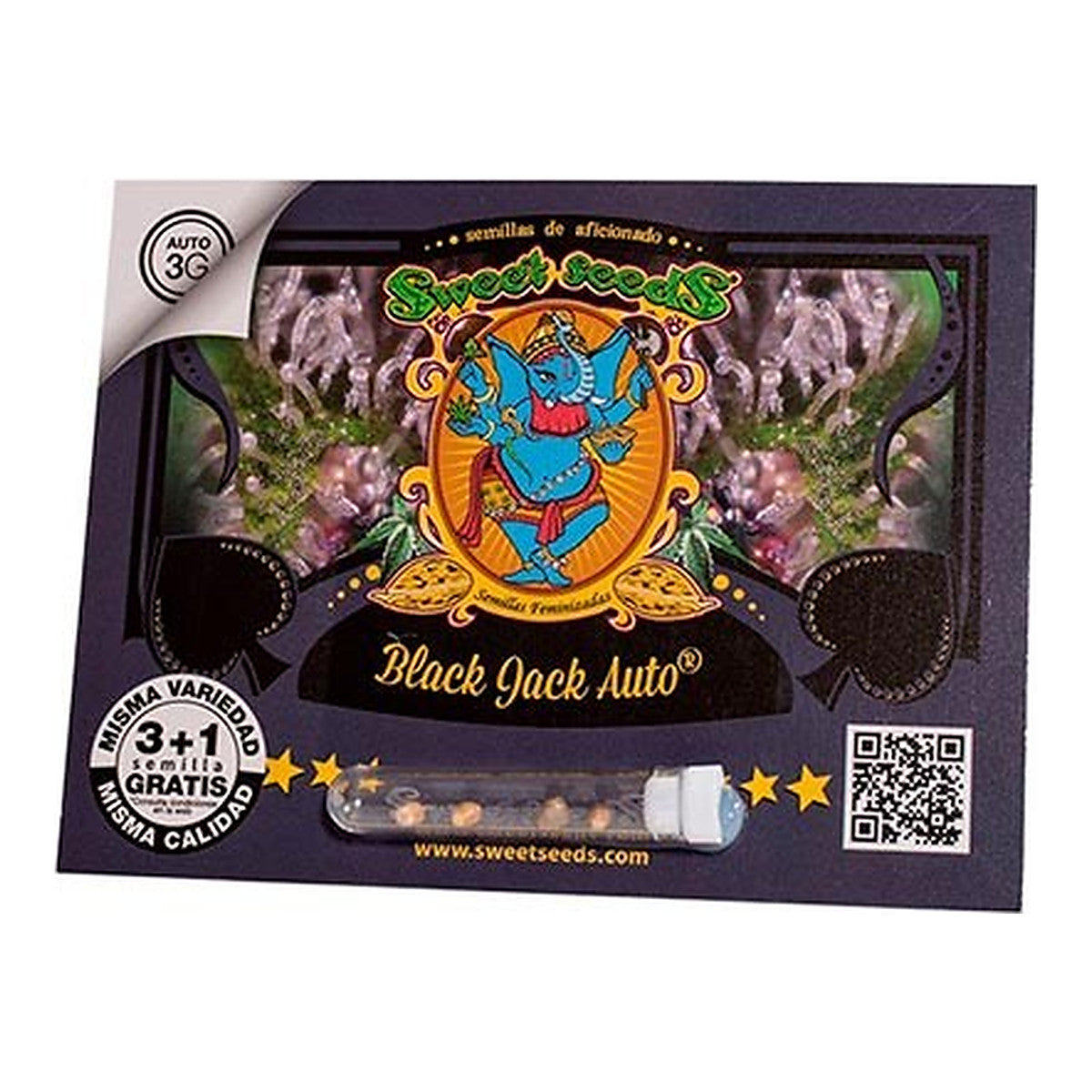 Black Jack Auto Sweet Seeds | Grow Industry