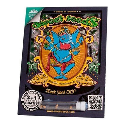 Sweet Seeds Black Jack CBD, semillas de cannabis CBD feminizadas con alto contenido en CBD