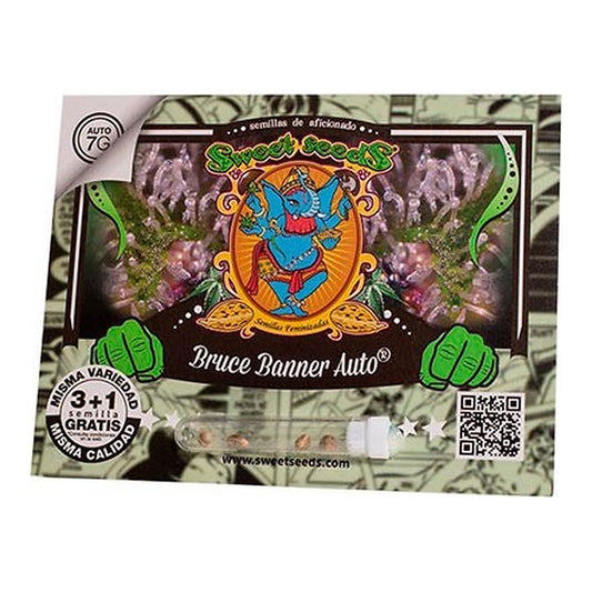 Bruce Banner Auto Sweet Seeds | Wachsen Sie die Branche