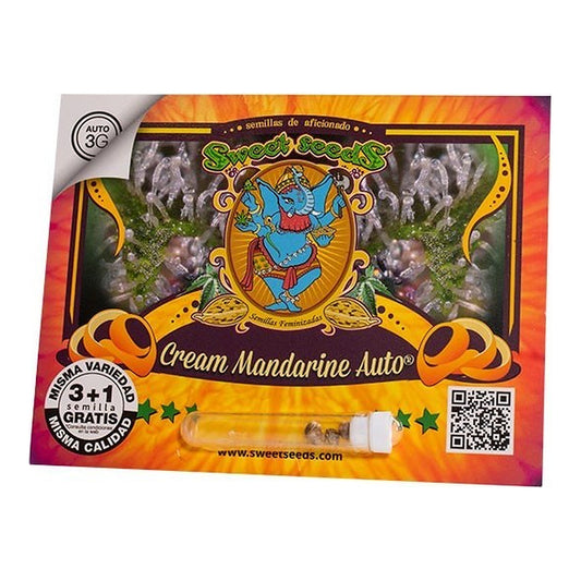 Sweet Seeds Cream Mandarine Auto, semillas de cannabis autoflorecientes con aroma a mandarina