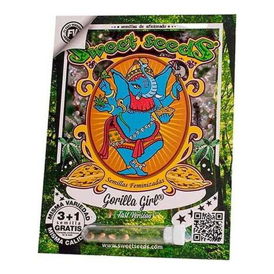 Gorilla Girl F1 Fast Version Sweet Seeds | Wachsen Sie die Branche