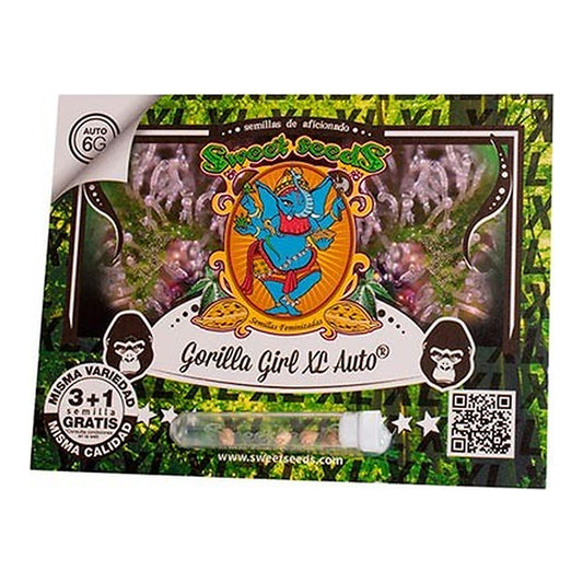 Sweet Seeds Gorilla Girl XL Auto, semillas de cannabis autoflorecientes XL con alta potencia