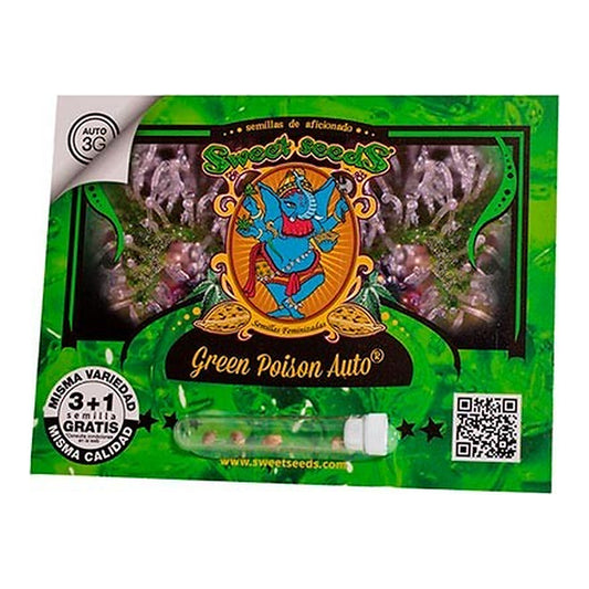 Green Poison Auto Sweet Seeds | Wachsen Sie die Branche