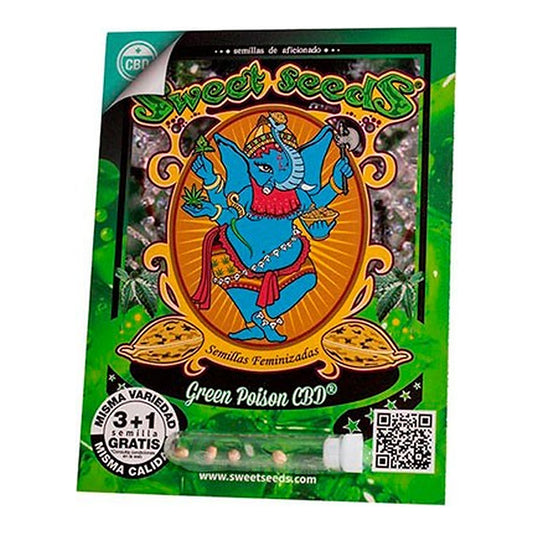 Green Poison CBD Sweet Seeds | Wachsen Sie die Branche