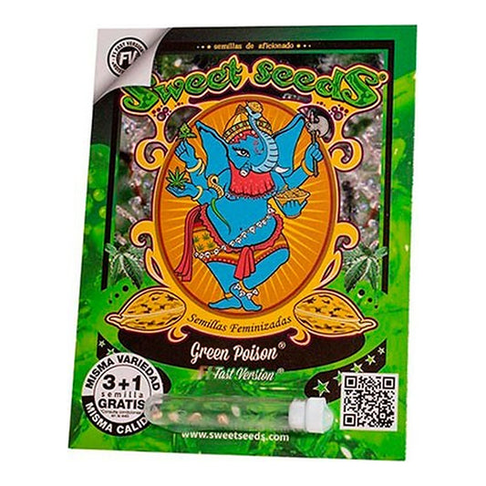 Green Poison Fast Version Sweet Seeds | Wachsen Sie die Branche