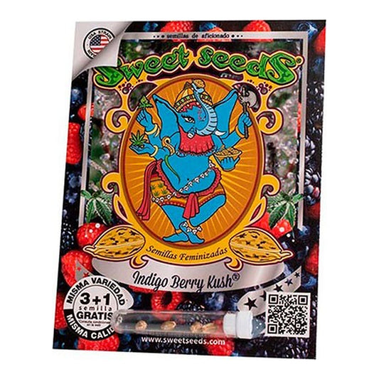 Indigo Berry Kush Sweet Seeds | Wachsen Sie die Branche