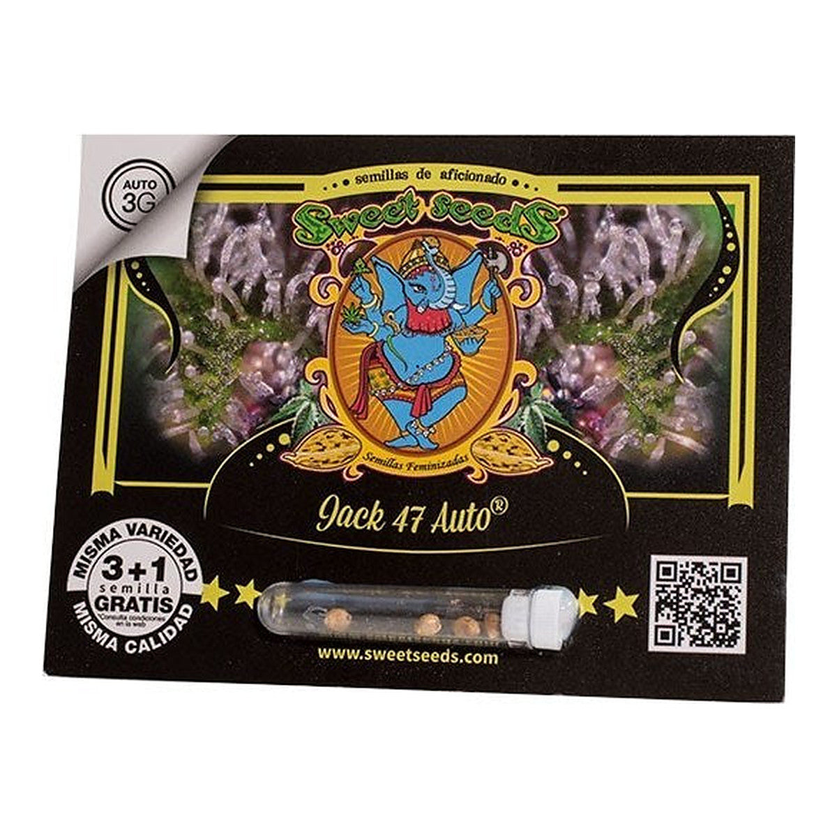 Graines sucrées Jack 47 Auto | Développer l’industrie