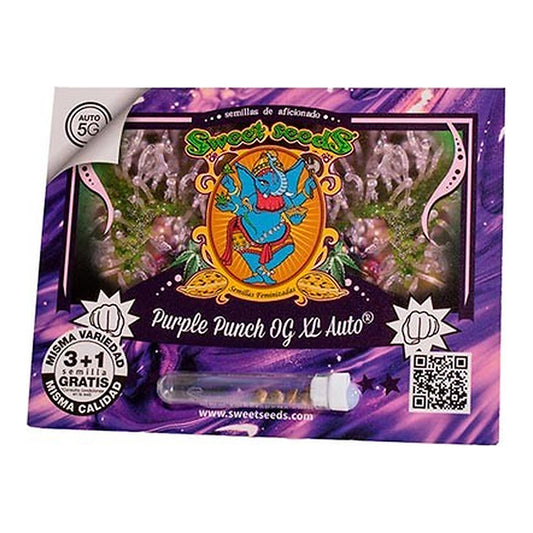 Purple Punch OG XL Auto Sweet Seeds | Wachsen Sie die Branche
