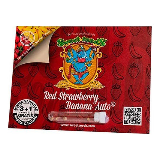 Sweet Seeds Red Strawberry Banana Auto, semillas de cannabis autoflorecientes con aroma a fresa