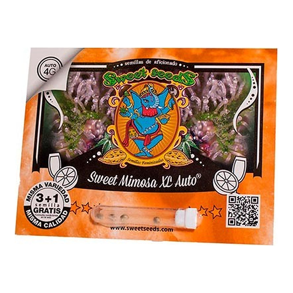 Sweet Seeds Sweet Mimosa XL Auto, semillas de cannabis autoflorecientes XL con aroma cítrico