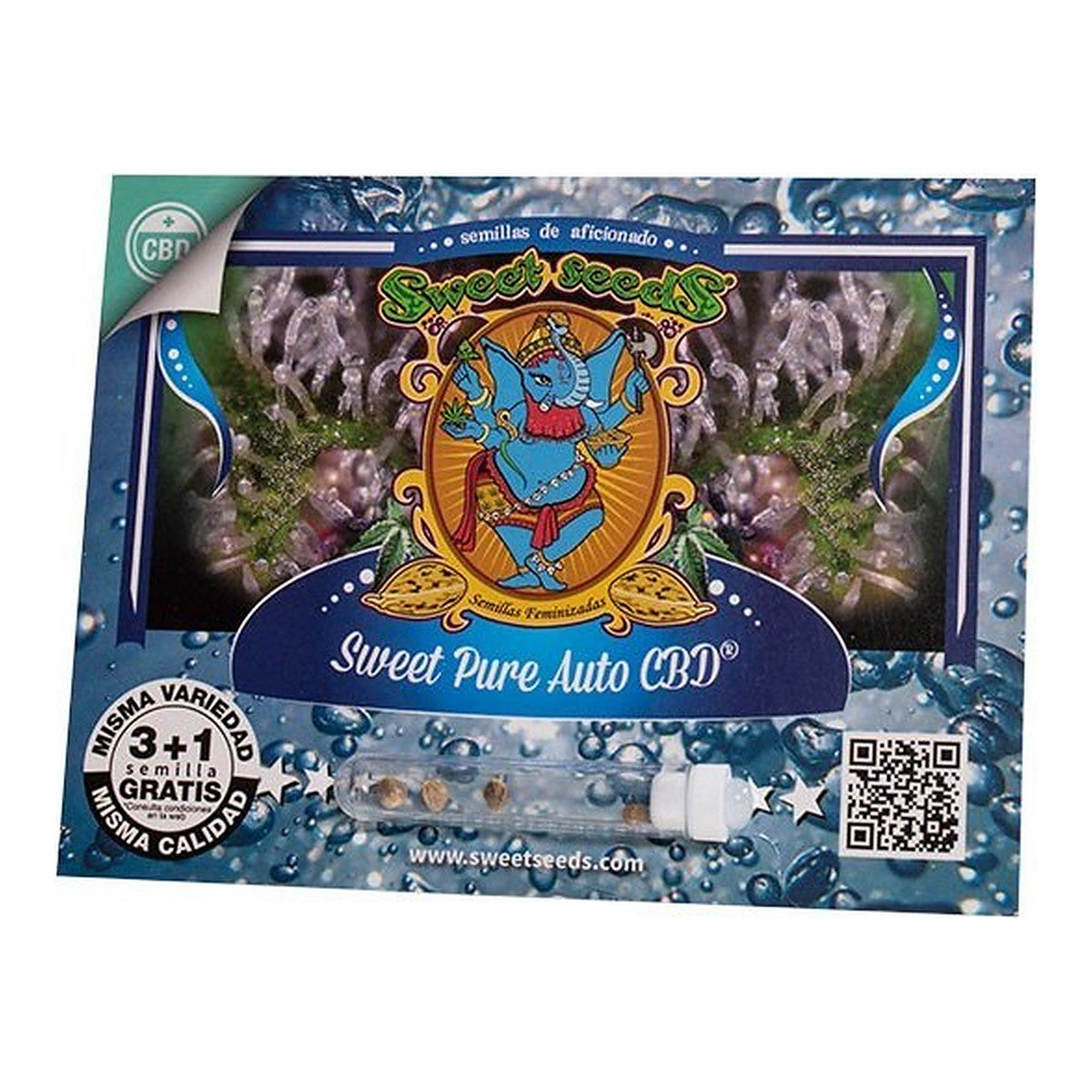 Sweet Seeds Sweet Pure Auto CBD, semillas de cannabis autoflorecientes con THC mínimo y alto CBD