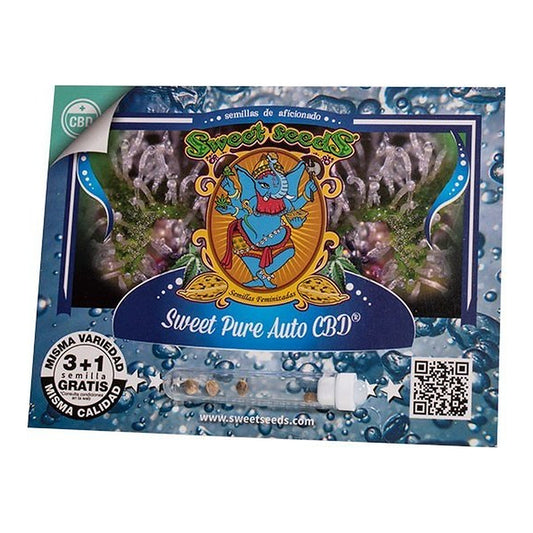 Sweet Pure Auto CBD Sweet Seeds | Wachsen Sie die Branche