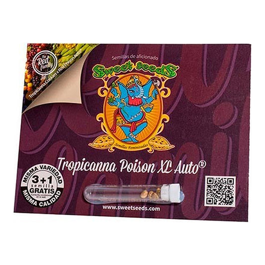 Tropicanna Poison XL Auto Sweet Seeds | Wachsen Sie die Branche