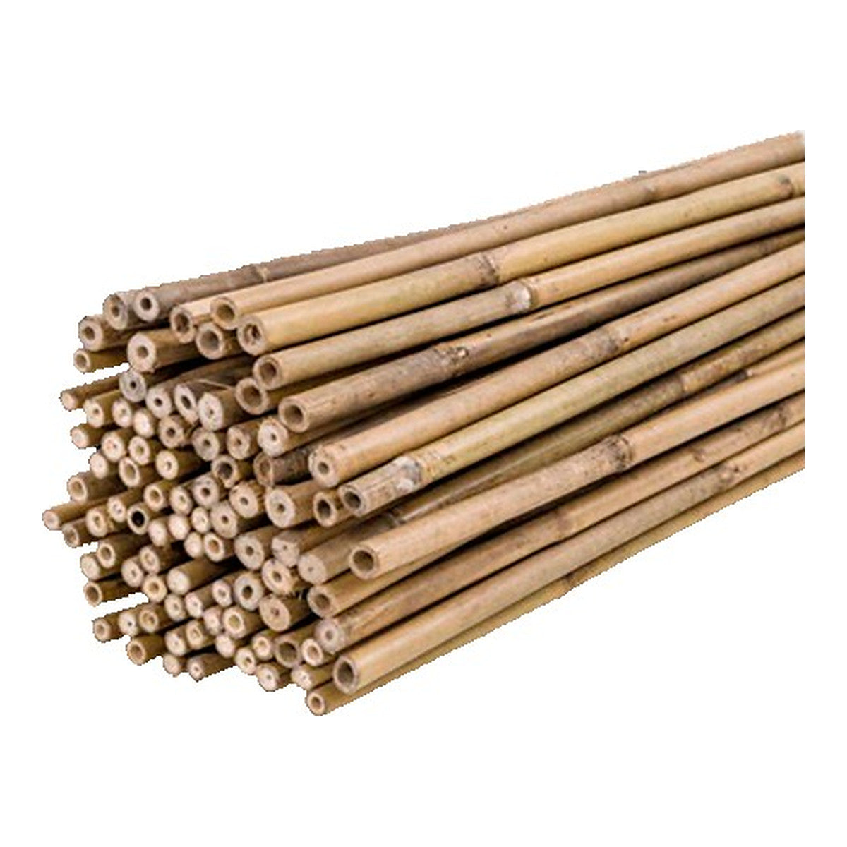 Bamboo Stakes - Growing Tool | Grow Industry